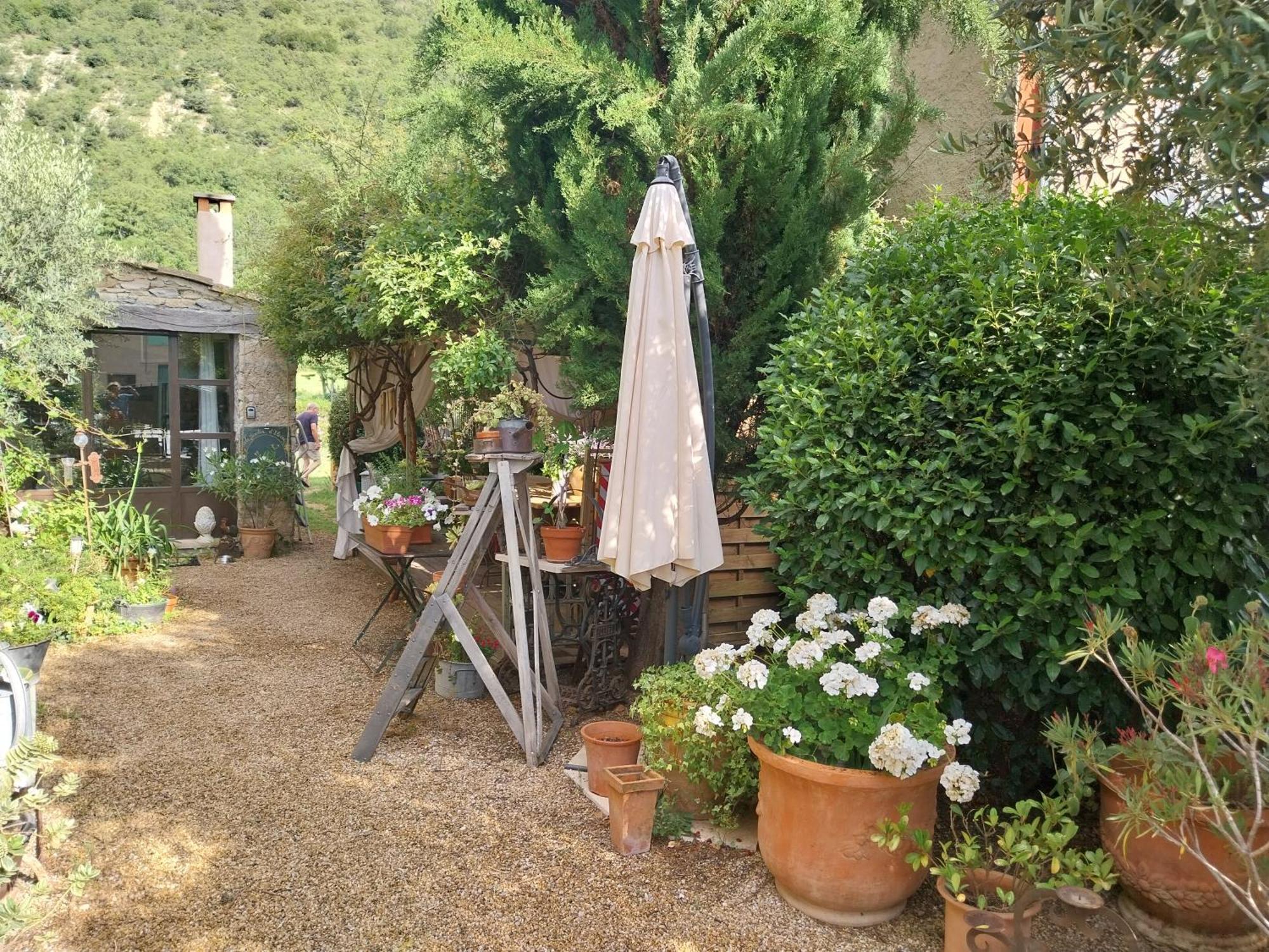 L'Olivier Sur La Place La Rochegiron 外观 照片
